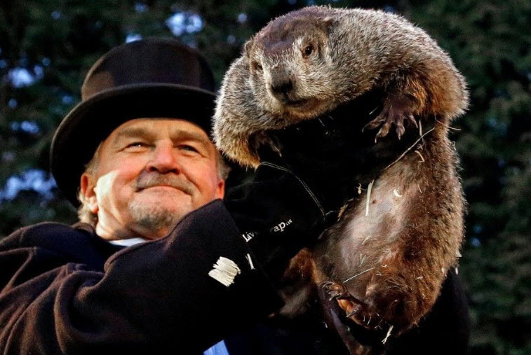 Punxsutawney Phil