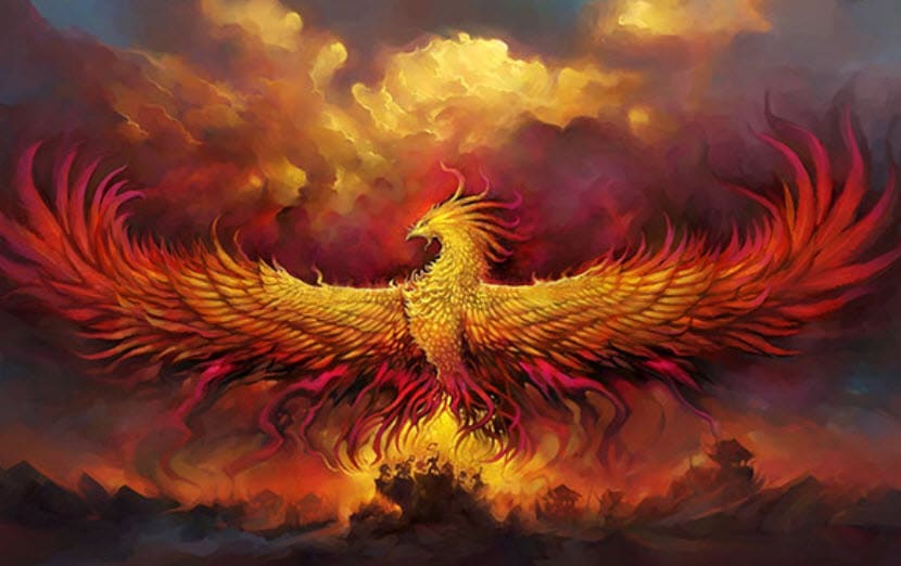 Phoenix Bird 1