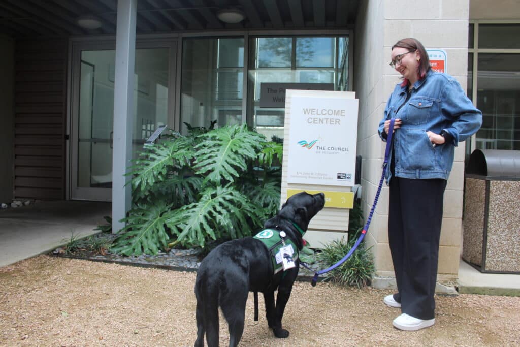 The Council on Recovery Welcomes Community Service Dog 1 Service Dog