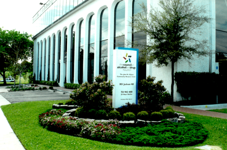 History 5 Council building 1999