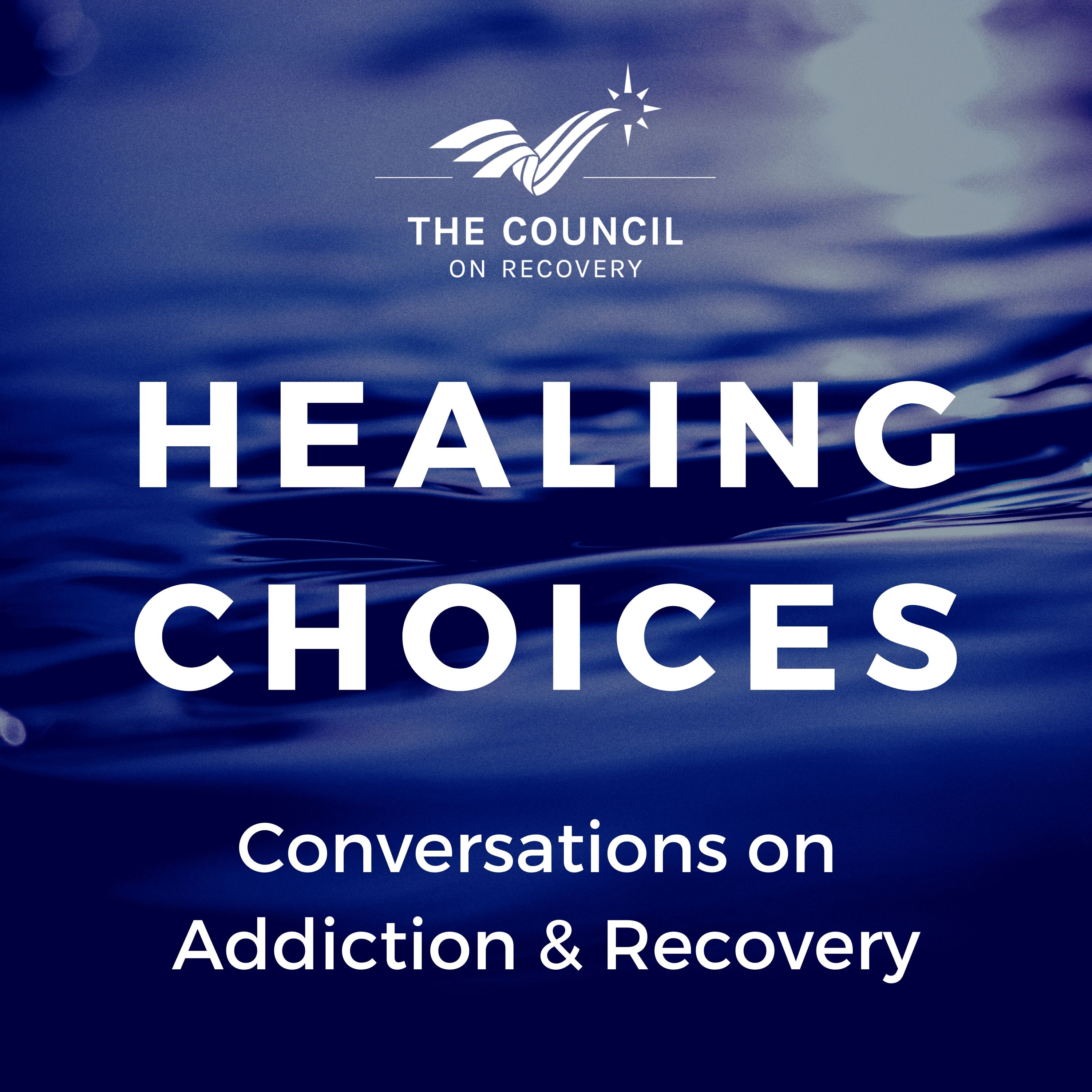 Healing Choices: Conversations on Addiction and Recovery